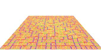 Wang-Tiles for the Simulation and Visualization of Plant Competition
