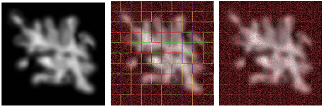 Teaser of Wang-Tiles for the Simulation and Visualization of Plant Competition