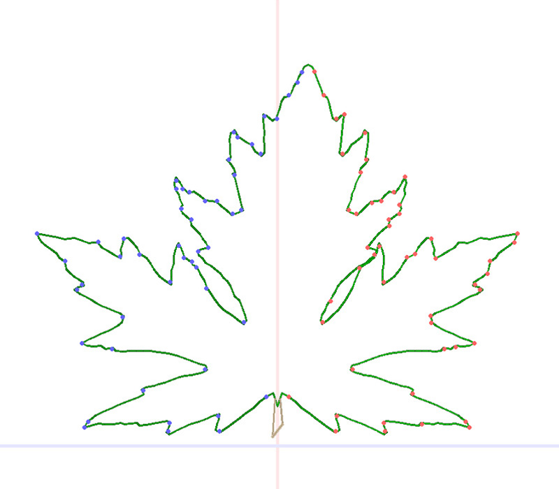 Procedural Techniques for Simulating the Growth of Plant Leaves and Adapting Venation Patterns