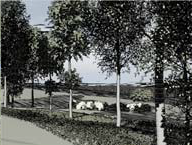 Seamless Integration of Stylized Renditions in Computer-Generated Landscape Visualization