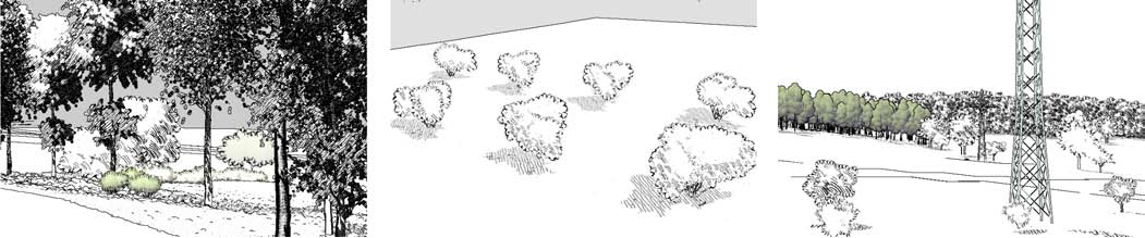 Teaser of Real-time Pen-and-ink Illustration of Landscapes