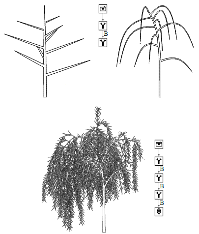 Erzeugung komplexer botanischer Objekte in der Computergraphik