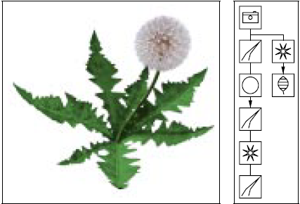 Pixel-Oriented Rendering of Line Drawings