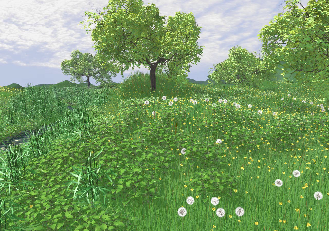 Realistic Modeling and Rendering of Plant Ecosystems
