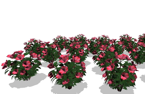 Interactive visualization of complex plant ecosystems