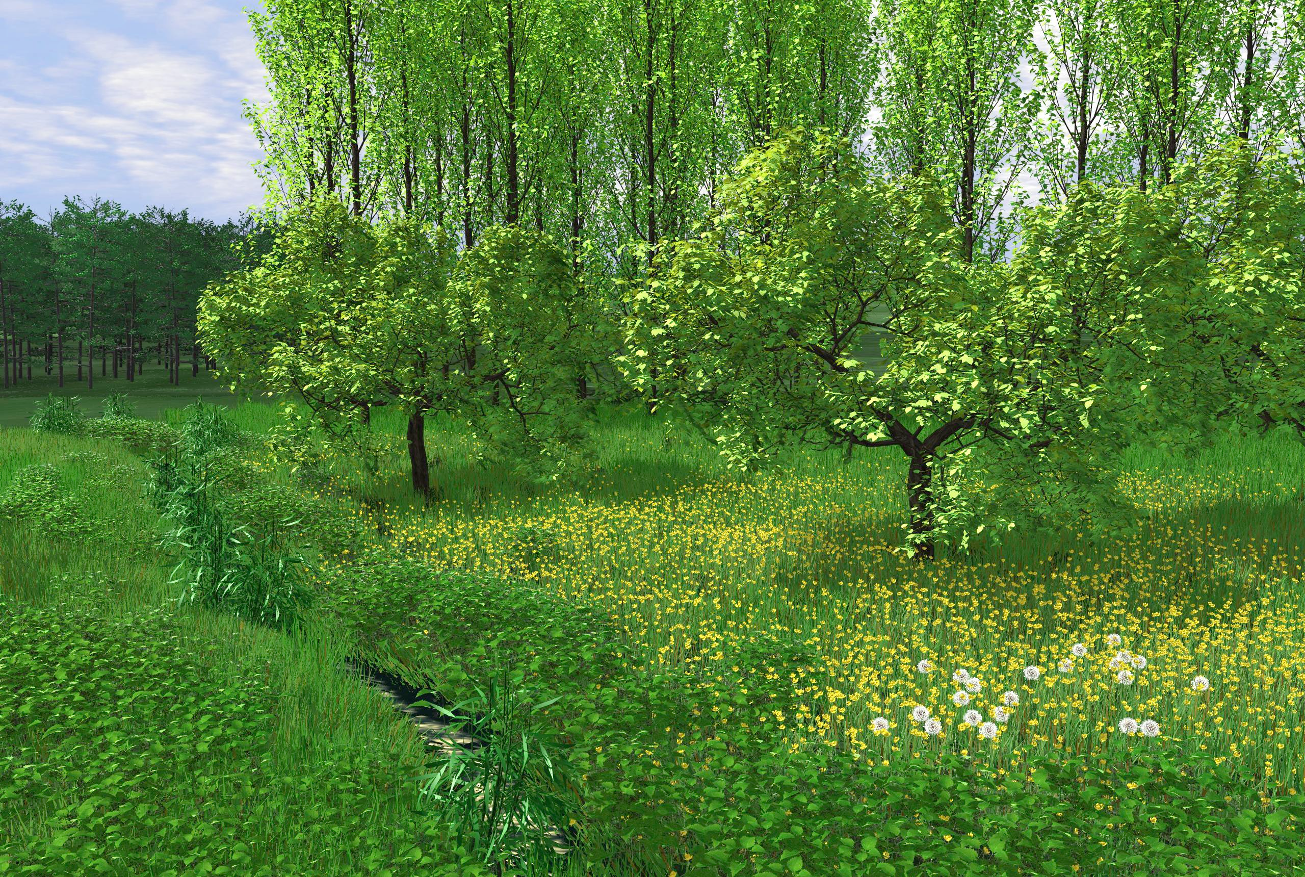 Efficient modelling and rendering of synthetic landscapes