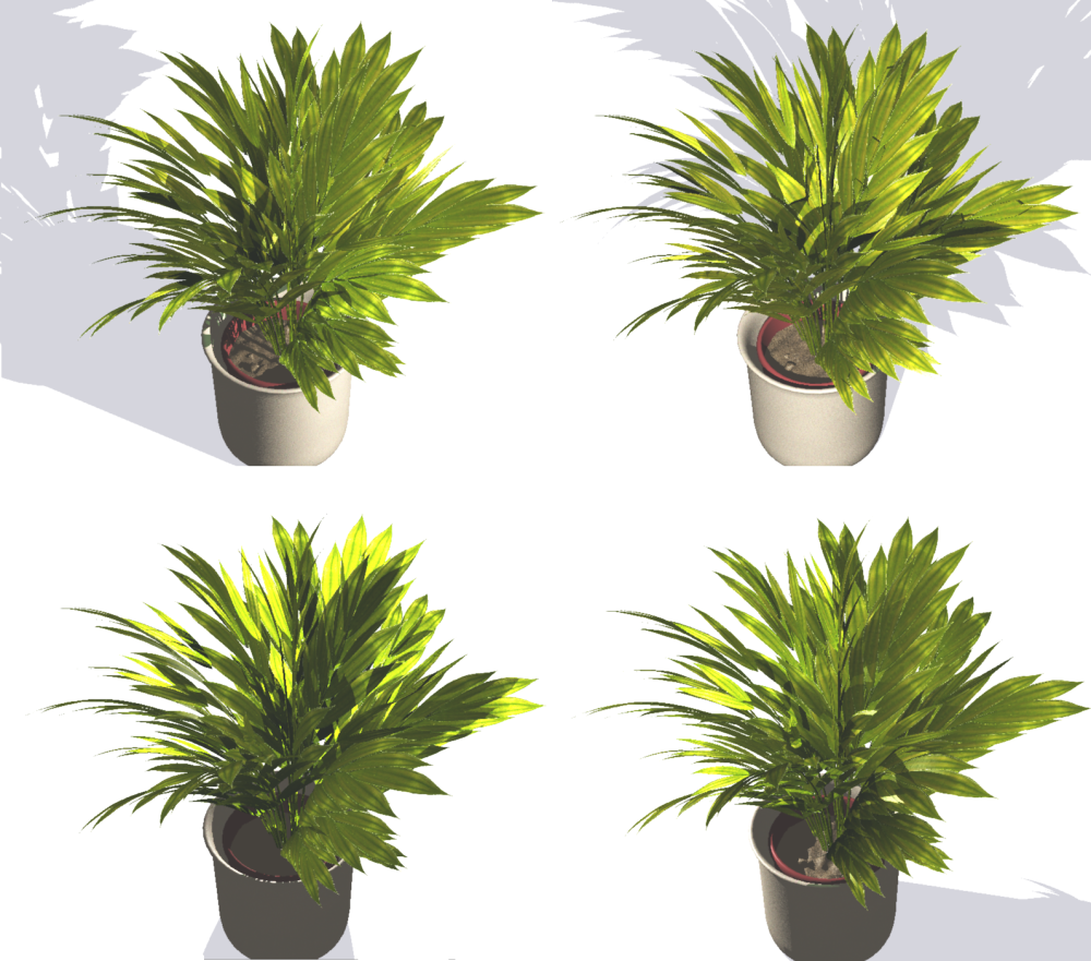 Accurate Graphical Representation of Plant Leaves
