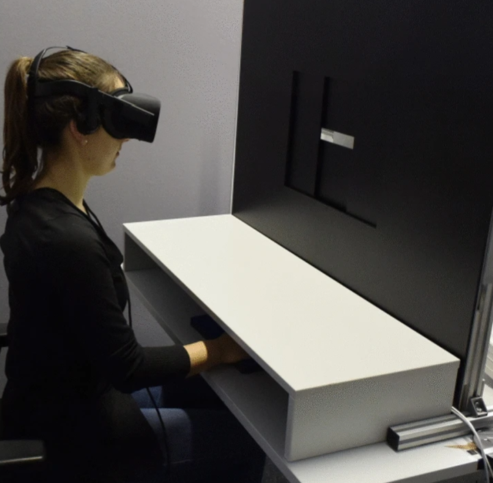 From virtual to physical environments when judging action opportunities: are diagnostics and trainings transferable?