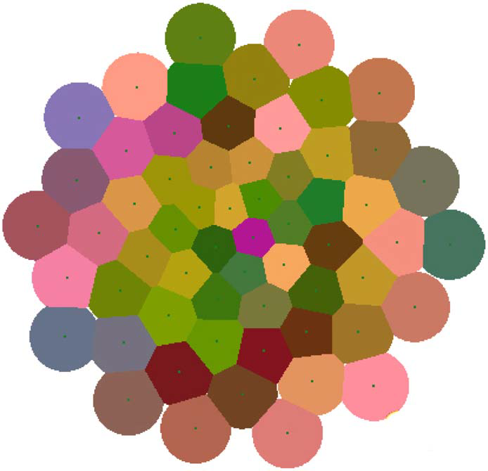 Contact pressure models for spiral phyllotaxis and their computer simulation