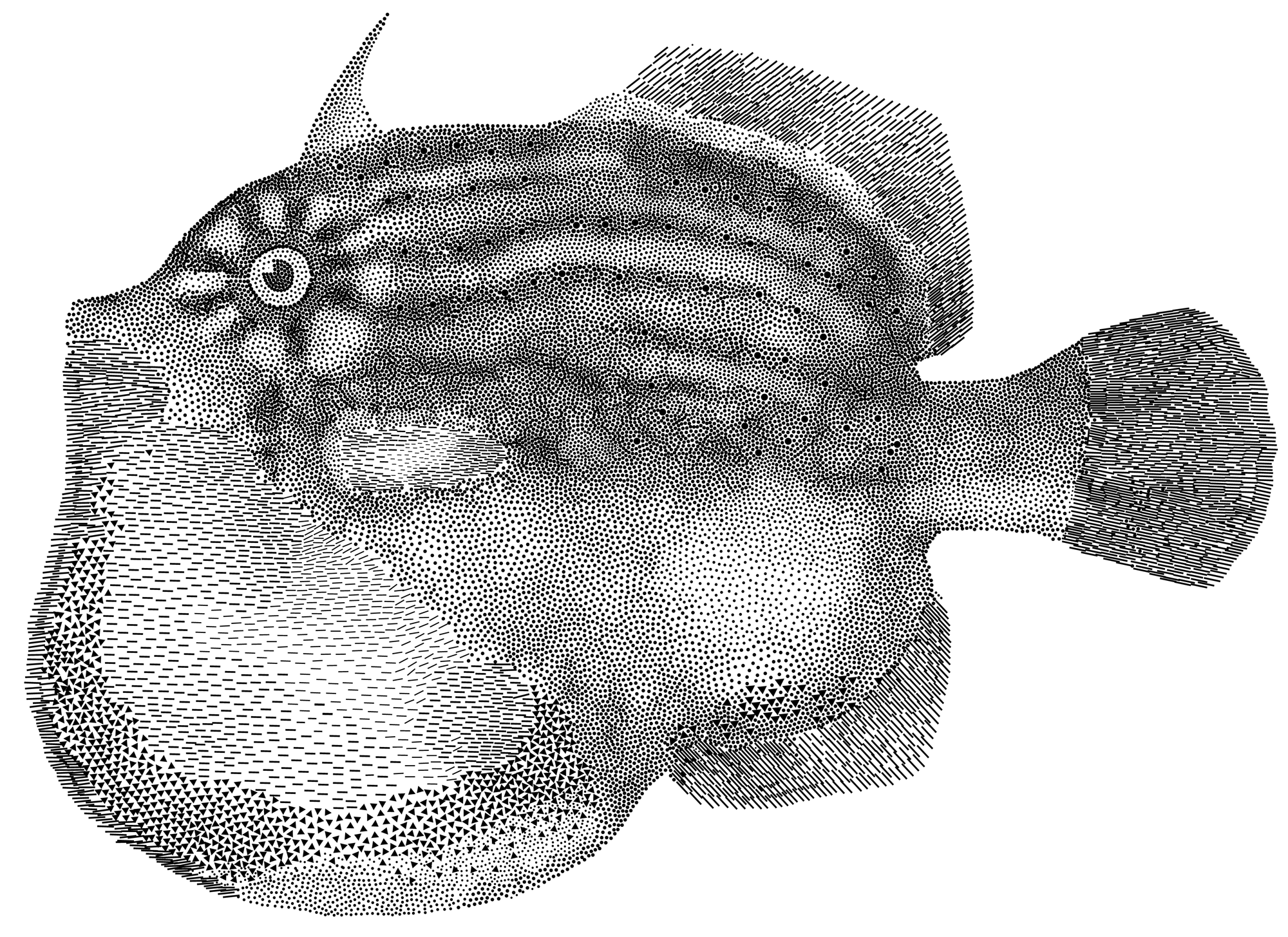 Beyond stippling - Methods for Distributing Objects on the Plane