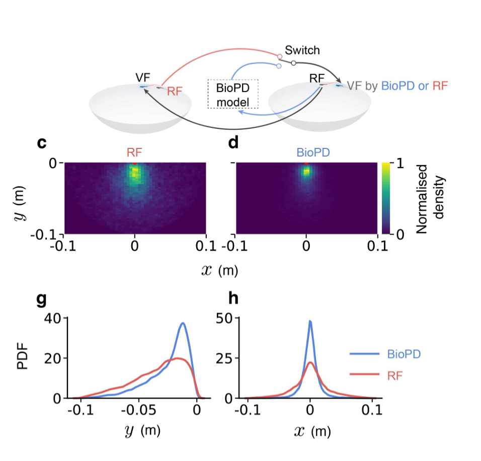 Reverse engineering the control law for schooling in zebrafish using virtual reality