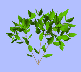Interactive Modelling of Branching Structures