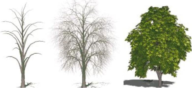 Teaser of Interactive Modeling of Plants