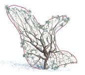 Interactive Modeling of Trees using VR Devices