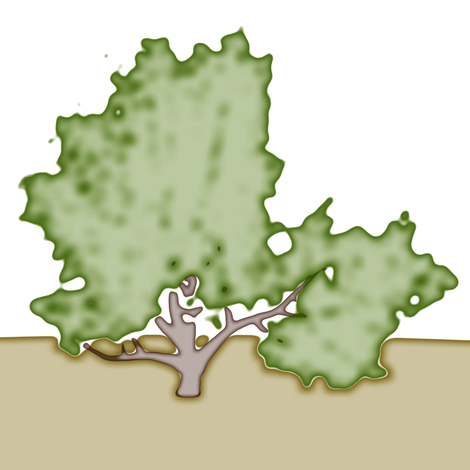 Interactive Watercolor Animations