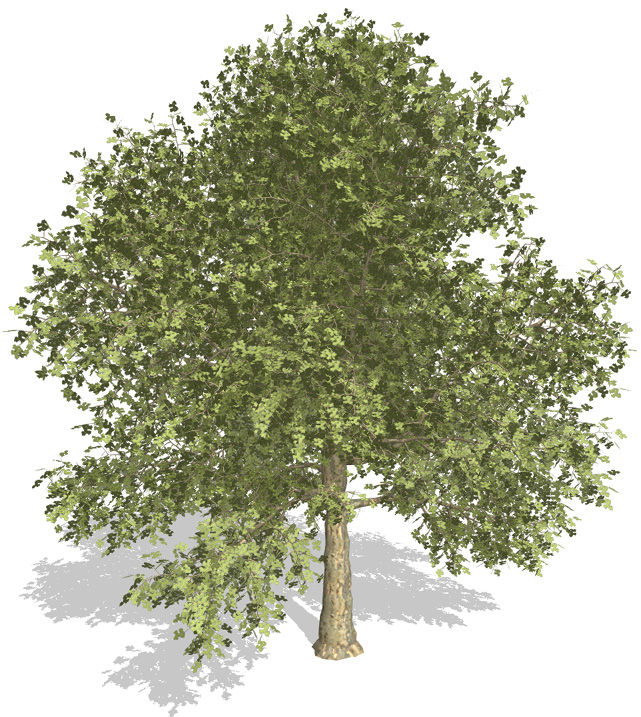 Expressive Illumination of Foliage Based on Implicit Surfaces