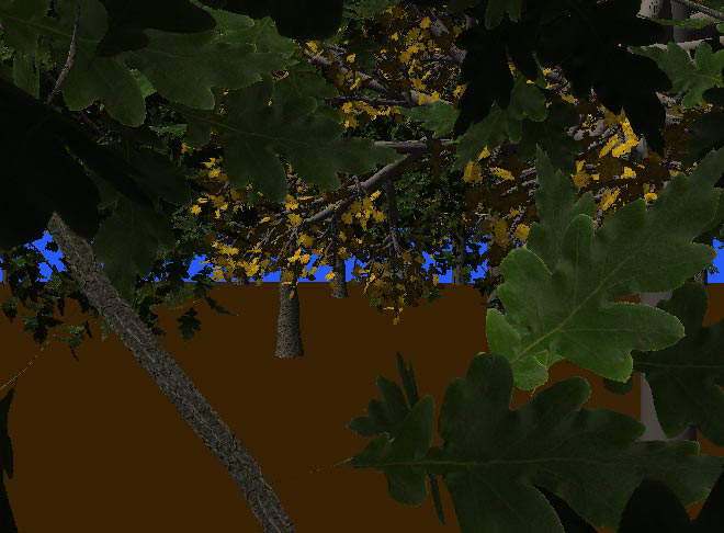 Hierarchical Image-Based Rendering using Texture Mapping Hardware