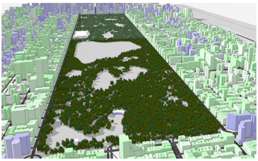 Procedural Urban Forestry