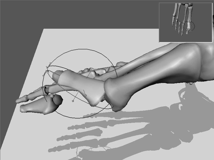 A 3D Puzzle for Learning Anatomy