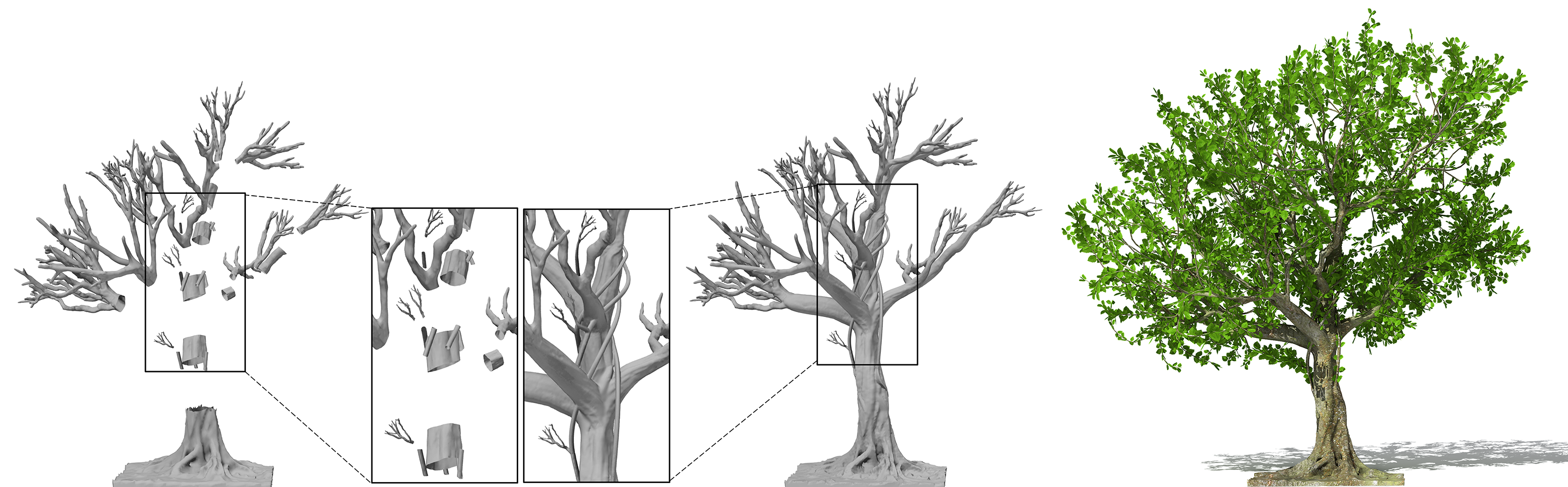 Teaser of Tree Modeling with Real Tree-Parts Examples