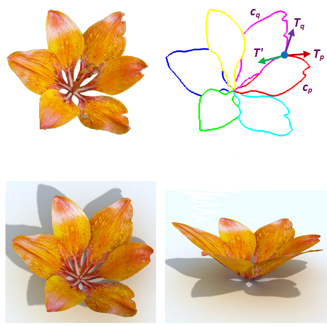 Flower Reconstruction from a Single Photo