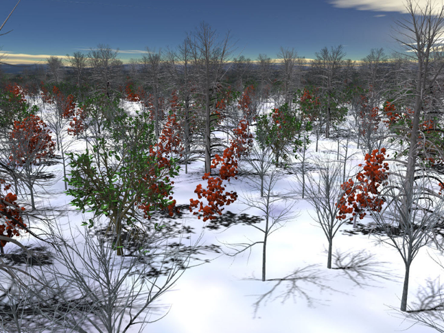 Tree Branch Level of Detail Models for Forest Navigation